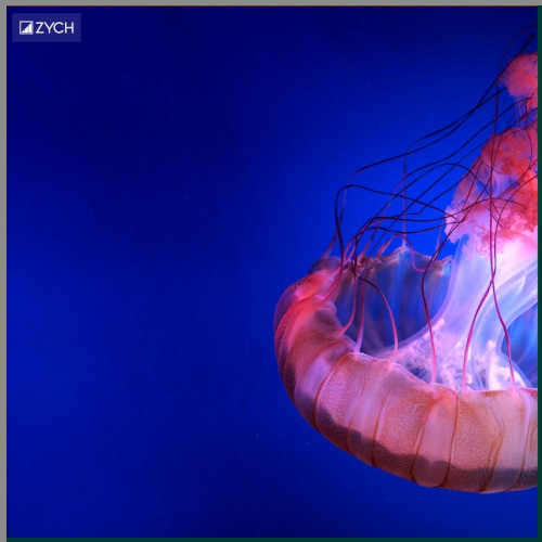 Ubezpieczenie na życie - nieśmiertelny jak meduza